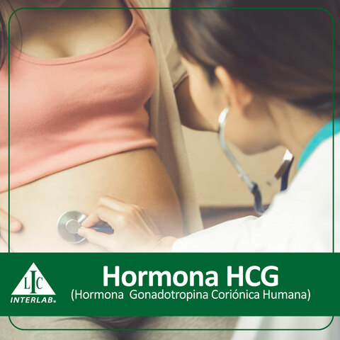 La hormona HCG (hormona gonadotropina coriónica humana)