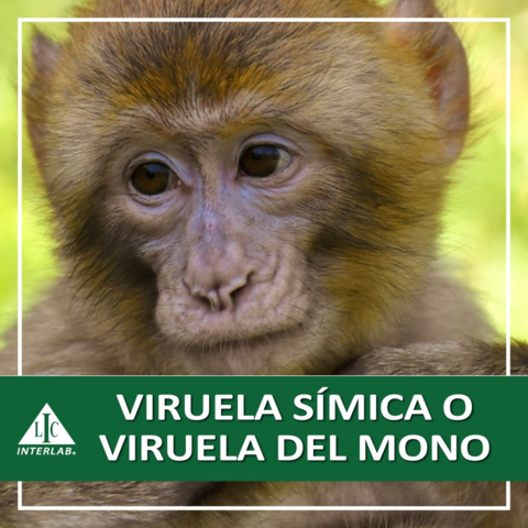 Nueva prueba molecular para la detección de la viruela del mono
