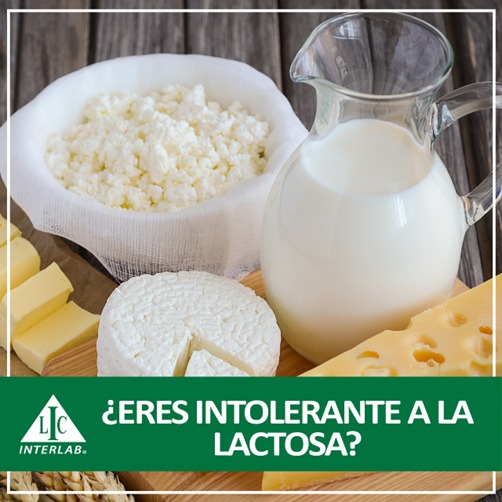 ¿Eres intolerante a la lactosa?