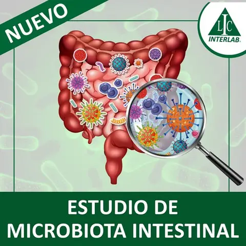 Caracterización de la Microbiota Intestinal a través de la Secuenciación de Nueva Generación