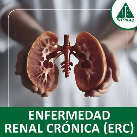 Enfermedad Renal Crónica (ERC)