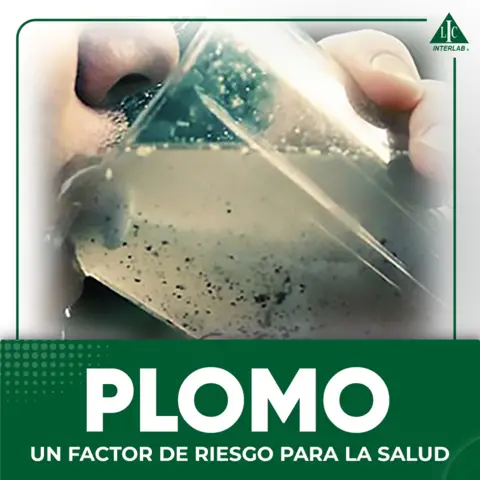 Plomo un factor de riesgo para la salud
