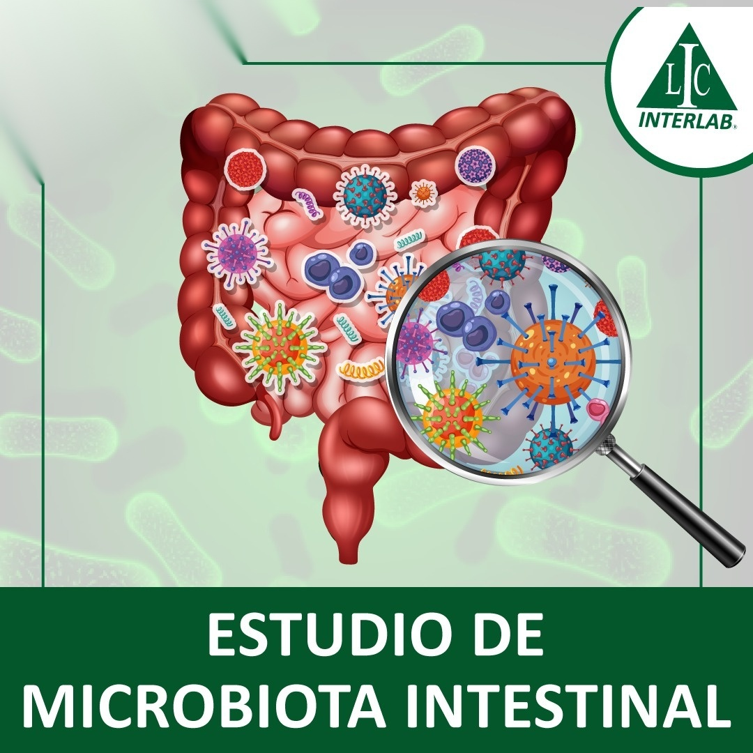 Microbiota intestinal: lo
que tu laboratorio puede
revelar sobre tu salud